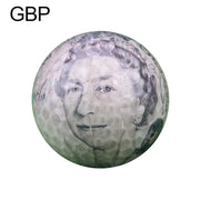 Golf Practice Ball Outdoor Indoor Beginner Training Tool EUR/GBP/USD/Earth Pattern Golf Ball Print Pattern Golf Practice Ball