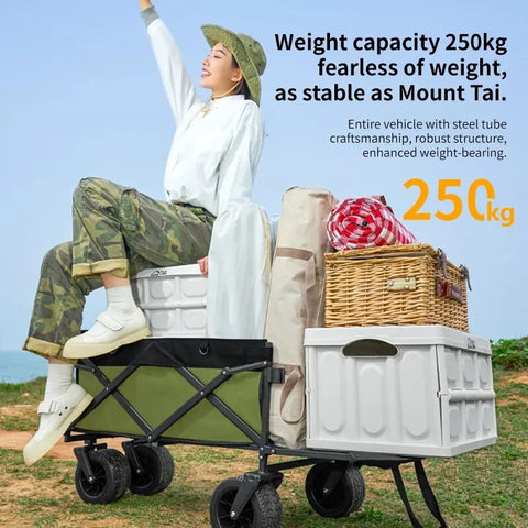 Wheeled Folding Cart Wagon Large Capacity Multifunction Cart Garden Park Outdoor Beach Camping Carts Portable Barbecue Trolley